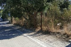PANO_20240914_124348