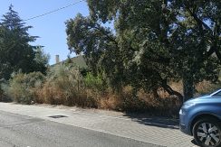 PANO_20240914_124550