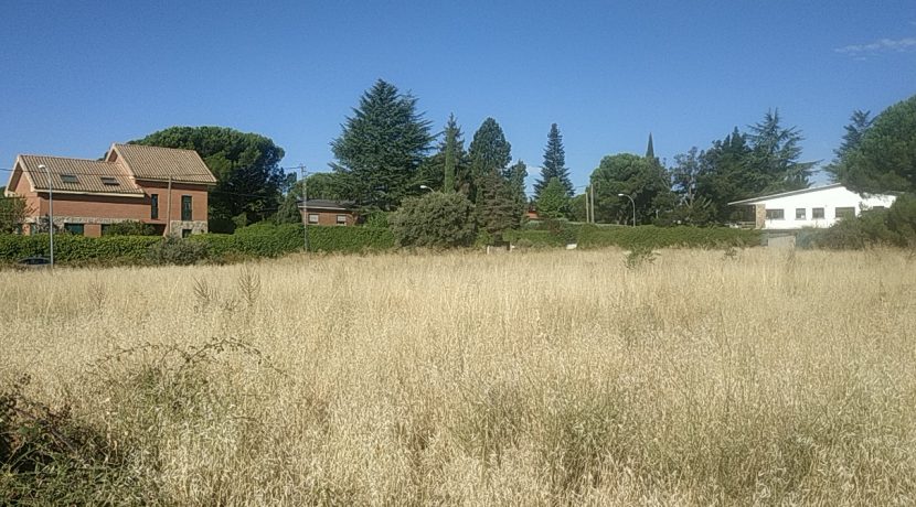 PANO_20230830_101857