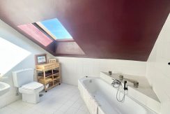 WhatsApp Image 2026-02-22 at 19.46.44