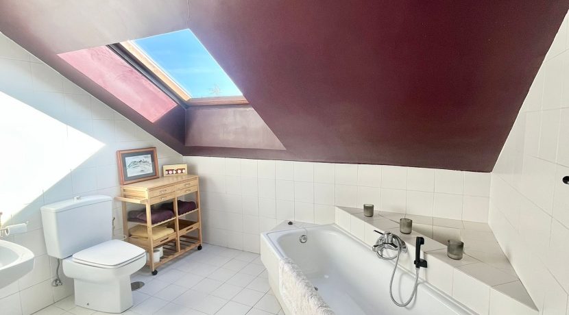 WhatsApp Image 2026-02-22 at 19.46.44